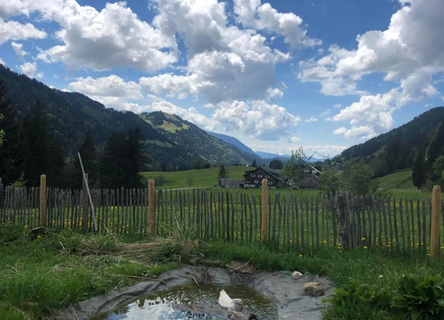 Alte Schmiede Apartment Balderschwang