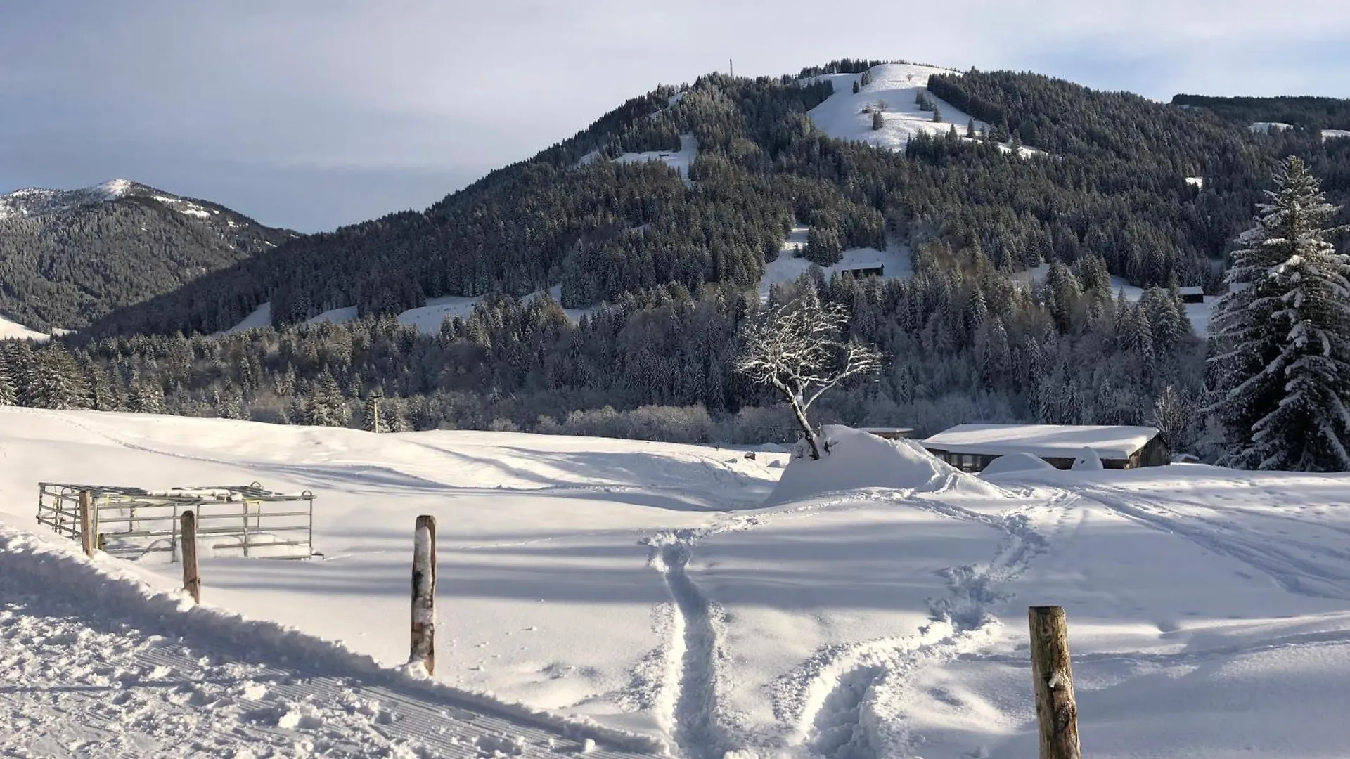 Alte Schmiede Apartment Balderschwang Germany